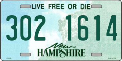 NH license plate 3021614