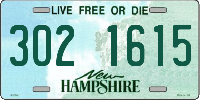 NH license plate 3021615