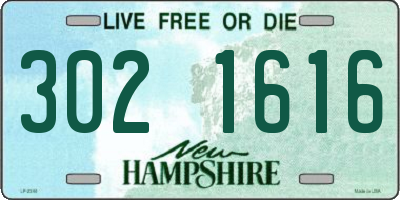 NH license plate 3021616