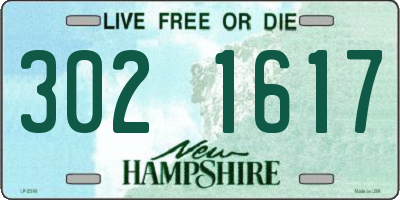 NH license plate 3021617