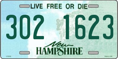 NH license plate 3021623