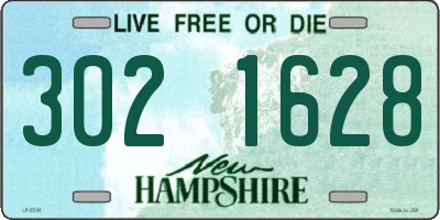 NH license plate 3021628