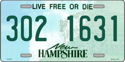 NH license plate 3021631