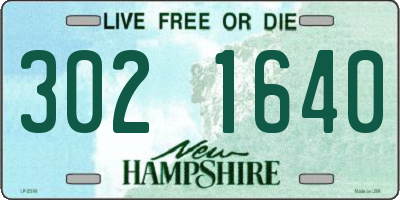 NH license plate 3021640