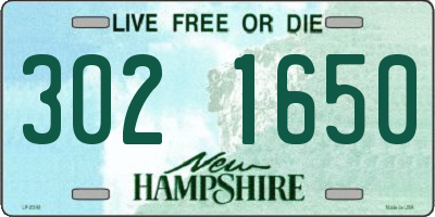 NH license plate 3021650