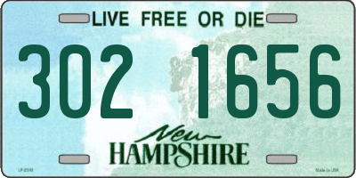 NH license plate 3021656