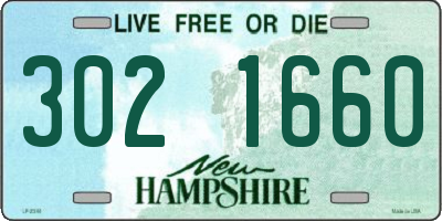 NH license plate 3021660