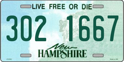 NH license plate 3021667