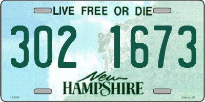 NH license plate 3021673