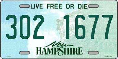 NH license plate 3021677