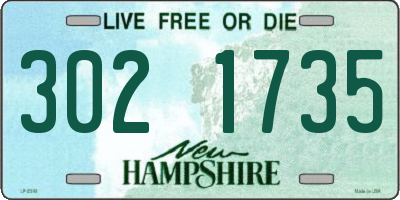 NH license plate 3021735