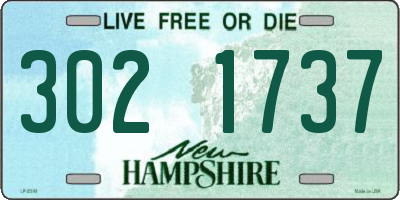 NH license plate 3021737