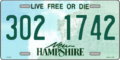 NH license plate 3021742