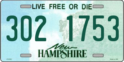 NH license plate 3021753