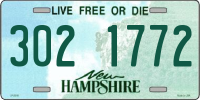 NH license plate 3021772