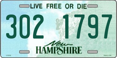 NH license plate 3021797