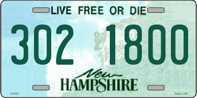 NH license plate 3021800