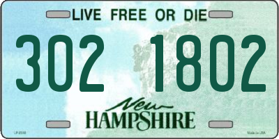 NH license plate 3021802