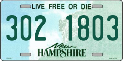 NH license plate 3021803
