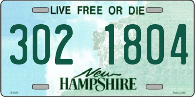 NH license plate 3021804