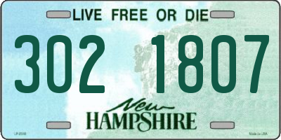 NH license plate 3021807