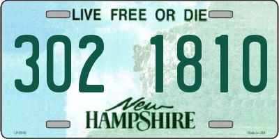 NH license plate 3021810