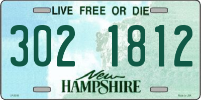 NH license plate 3021812