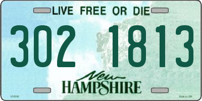 NH license plate 3021813