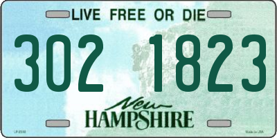 NH license plate 3021823
