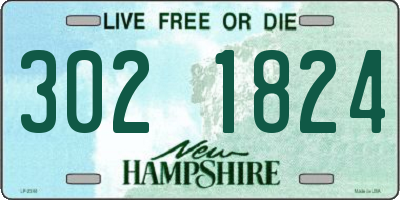 NH license plate 3021824
