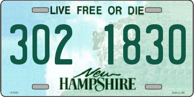 NH license plate 3021830