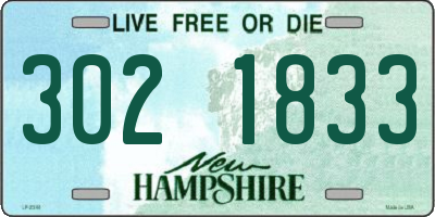 NH license plate 3021833