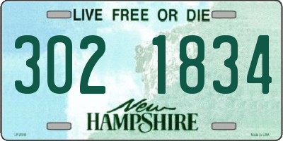 NH license plate 3021834