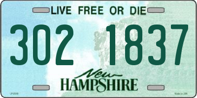 NH license plate 3021837