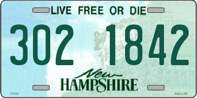 NH license plate 3021842
