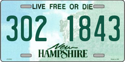 NH license plate 3021843