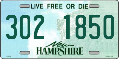 NH license plate 3021850