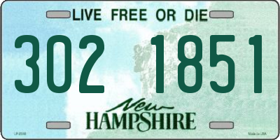NH license plate 3021851