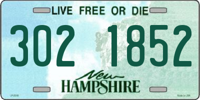 NH license plate 3021852