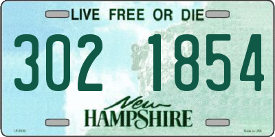 NH license plate 3021854