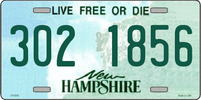 NH license plate 3021856