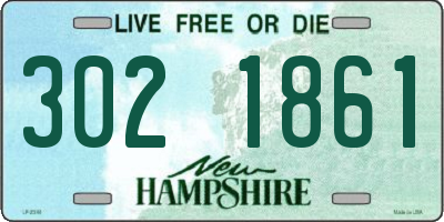 NH license plate 3021861