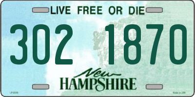 NH license plate 3021870
