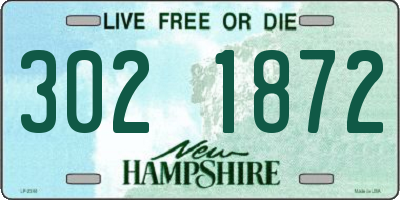 NH license plate 3021872