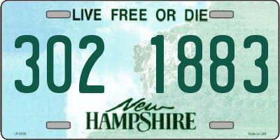 NH license plate 3021883