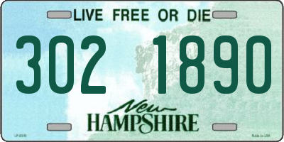 NH license plate 3021890
