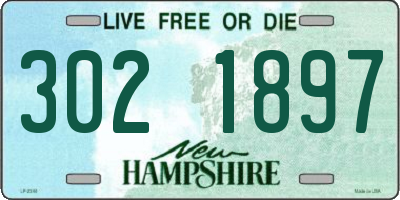NH license plate 3021897