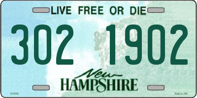 NH license plate 3021902