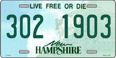 NH license plate 3021903