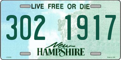 NH license plate 3021917
